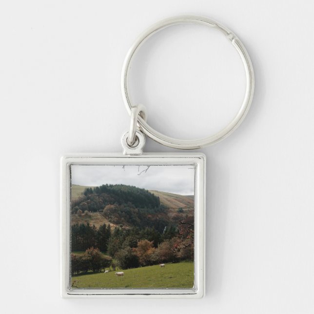 Pennant Valley Wales Key Ring (Front)