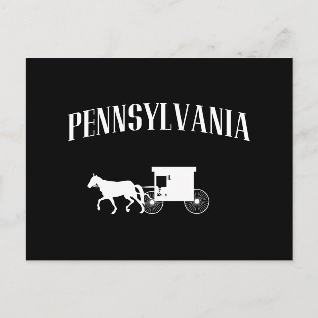 Pennsylvania Amish Carriage Postcard (Front)