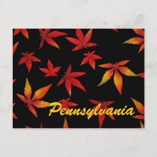 Pennsylvania Autumn Leaves Postcard