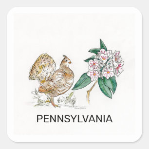Pennsylvania bird flower square sticker