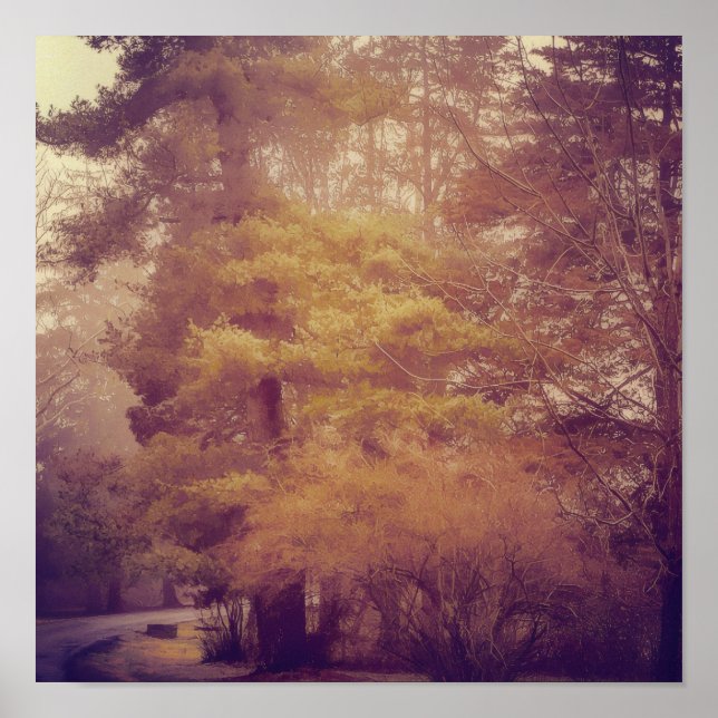 Pennsylvania Country Road Poster (Front)