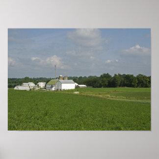 Pennsylvania Countryside Poster