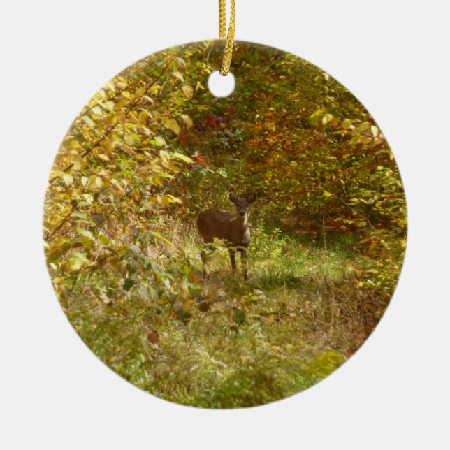 Pennsylvania Deer in Fall Nature Ceramic Tree Decoration (Front)