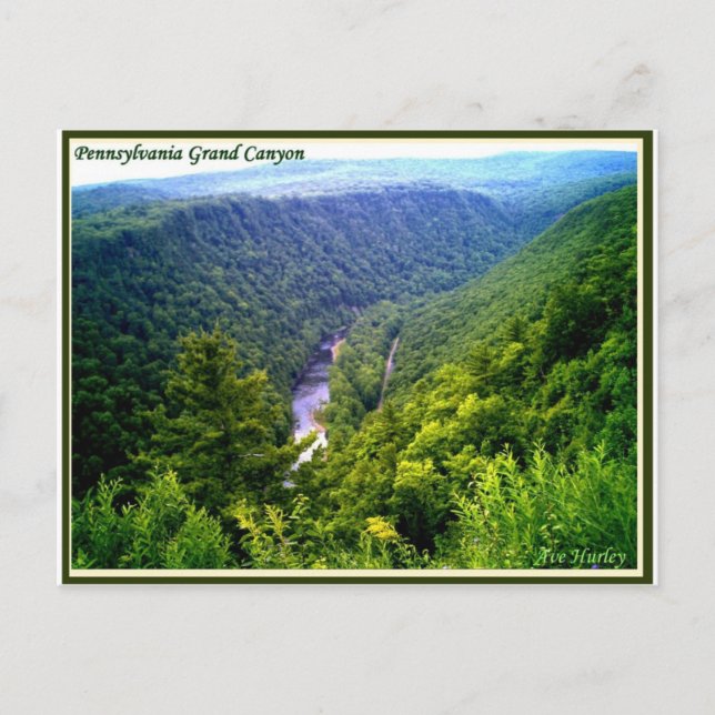 Pennsylvania Grand Canyon in summer Postcard (Front)
