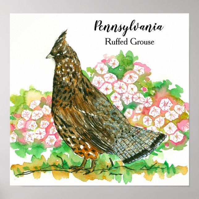 Pennsylvania Ruffed Grouse Mountain Laurel Poster (Front)