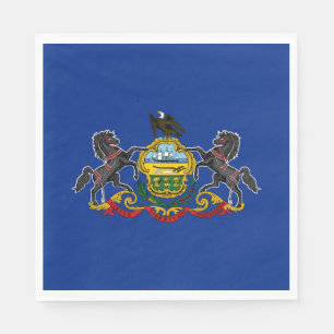 Pennsylvania State Flag Napkin