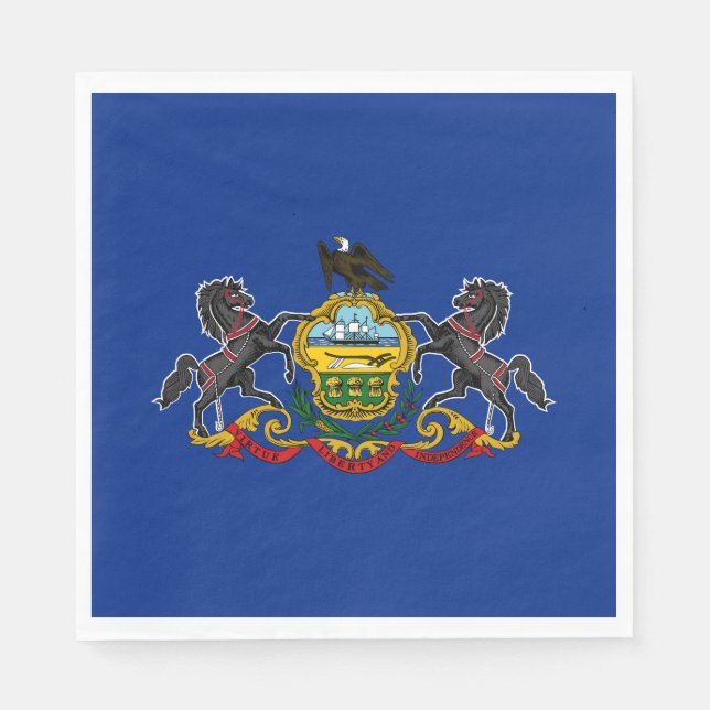 Pennsylvania State Flag Napkin (Front)