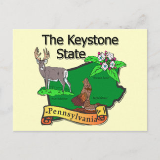 Pennsylvania The Keystone State Bird Deer Flower Postcard