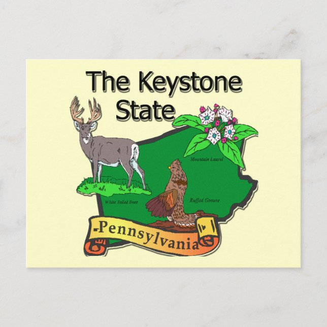 Pennsylvania The Keystone State Bird Deer Flower Postcard (Front)