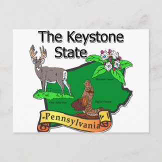 Pennsylvania The Keystone State Bird Deer Flower Postcard