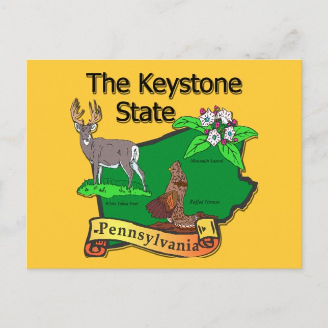 Pennsylvania The Keystone State Bird Deer Flower Postcard (Front)