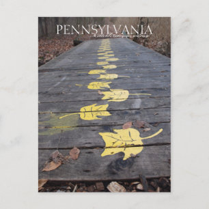 Pennsylvania Walk Through The Park Postcard
