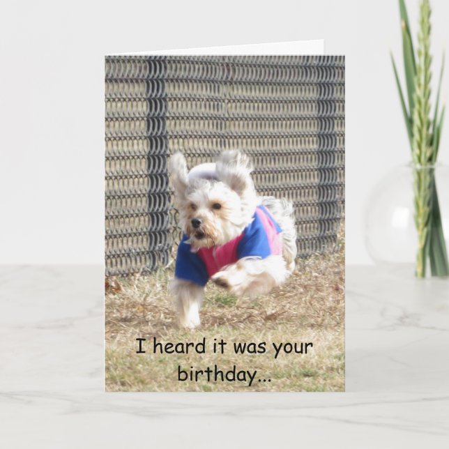 Penny Birthday Card (Front)