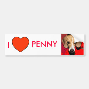 PENNY BUMPER STICKER