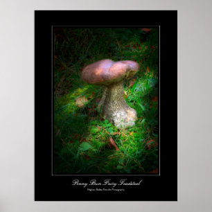 Penny Bun Fairy Toadstool gallery-style poster