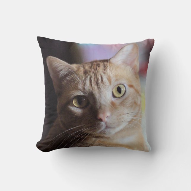 Penny Cushion (Front)