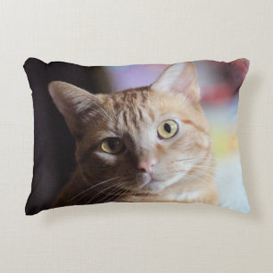 Penny Decorative Cushion