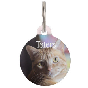Penny Pet Tag
