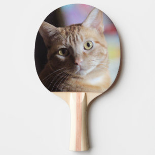 Penny Ping Pong Paddle