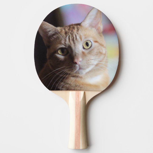 Penny Ping Pong Paddle (Front)