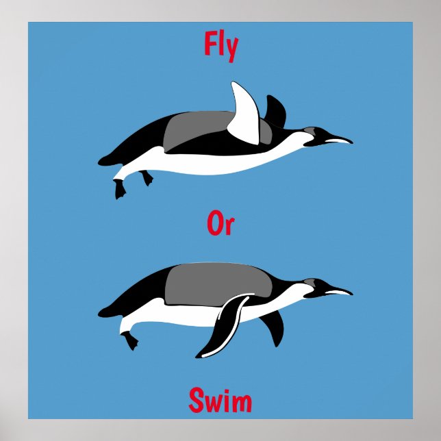 Penquin Fly or Swim Poster (Front)