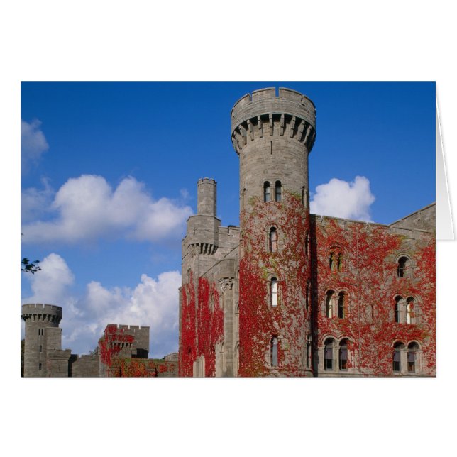 Penrhyn Castle, Gwynedd, Wales 3 (Front Horizontal)