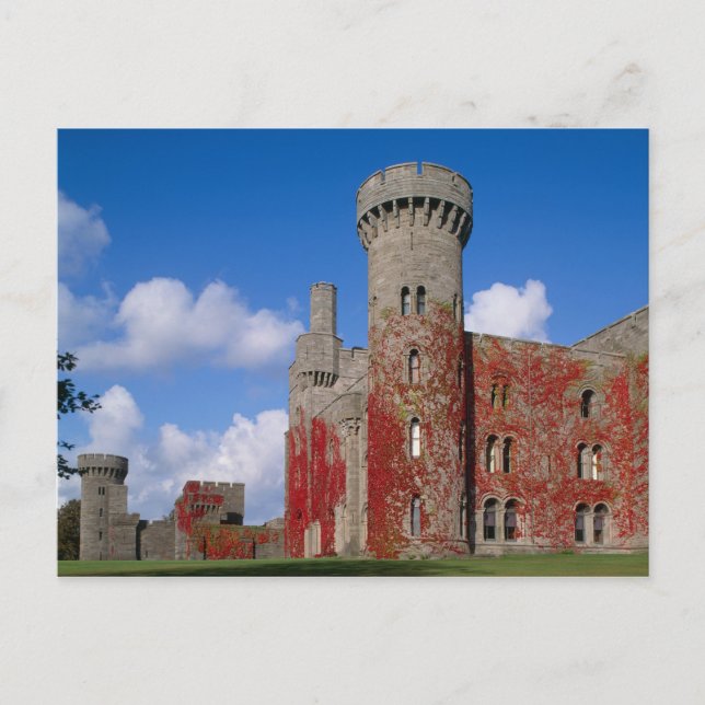 Penrhyn Castle, Gwynedd, Wales 3 Postcard (Front)