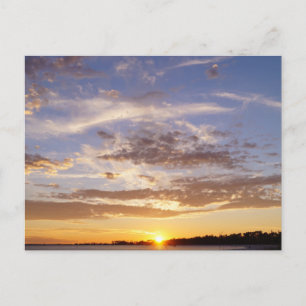 Pensacola Beach Sunset Holiday Postcard
