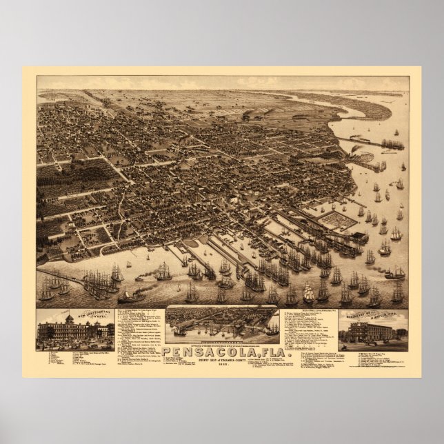 Pensacola, FL Panoramic Map - 1885 Poster (Front)