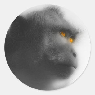 Pensive Monkey Classic Round Sticker
