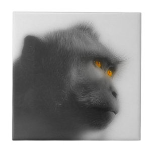 Pensive Monkey Tile
