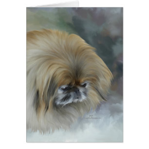 Pensive Pekingese