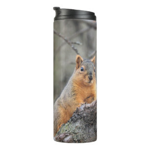 Pensive Thermal Tumbler