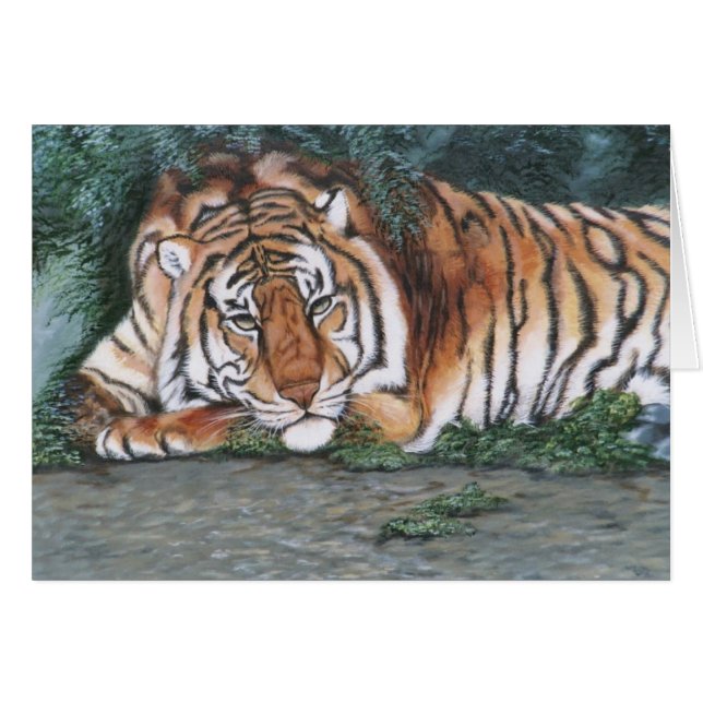 "Pensive Tiger" (Front Horizontal)