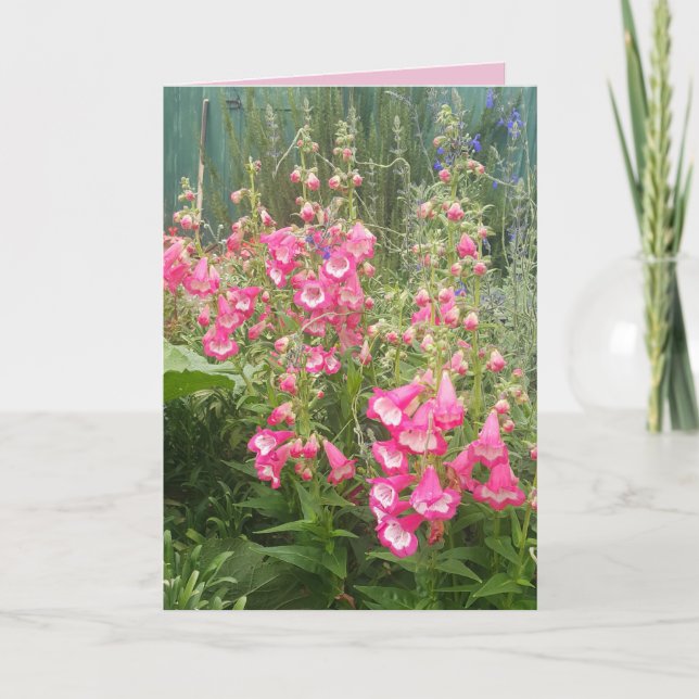Penstemon Flower Garden floral Happy Birthday Card (Front)