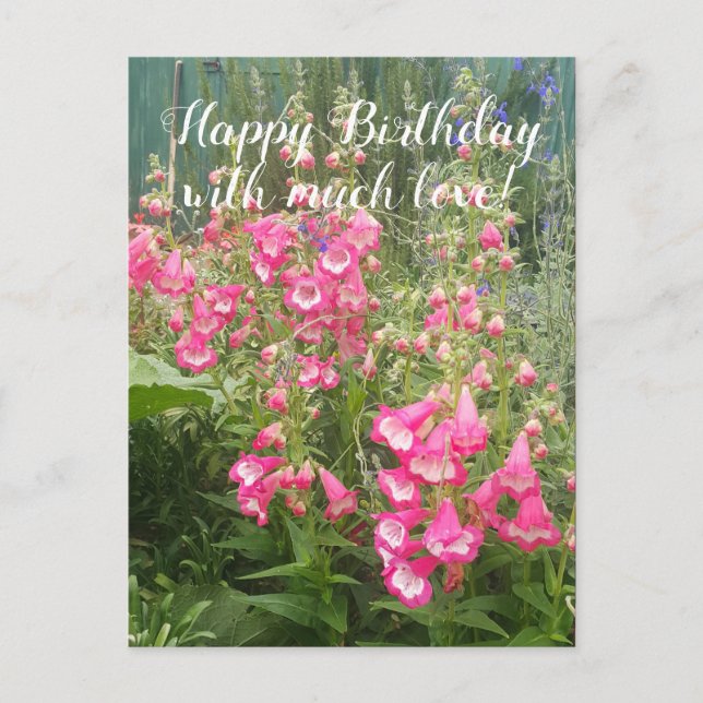 Penstemon Flower Garden floral Happy Birthday Postcard (Front)