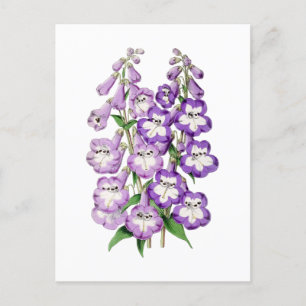 Penstemon Vintage Botanical Postcard