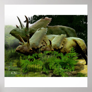 Pentaceratops from New Mexico Poster