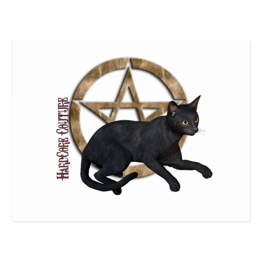 Pentacle Black Cat Postcard