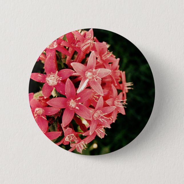 Pentas 6 Cm Round Badge (Front)