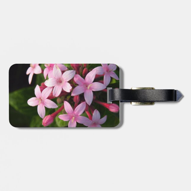 Pentas Luggage Tag (Back Horizontal)