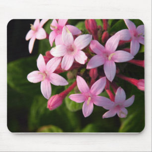 Pentas Mouse Mat