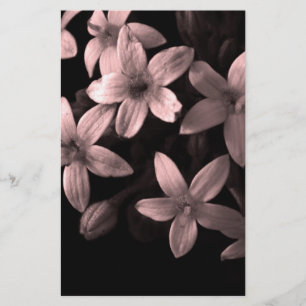 Pentas Stationery