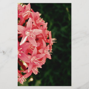 Pentas Stationery
