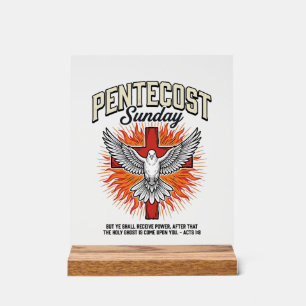 Pentecost Sunday Dove Cross Vintage Shirt Acrylic Sign