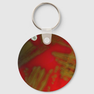 Penumonia Bacteria Key Ring