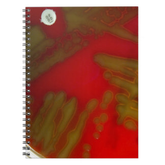 Penumonia Bacteria Notebook