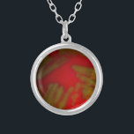 Penumonia Bacteria Silver Plated Necklace<br><div class="desc">A streak plate of Streptococcus pneumoniae with an optochin antibiotic disc placed on it. The plate shows alpha hemoloysis on the blood agar plate.</div>