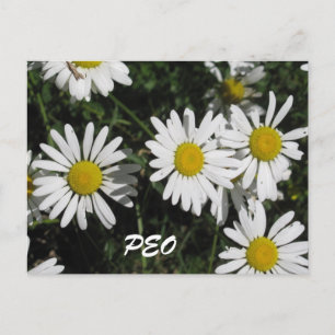 PEO Card
