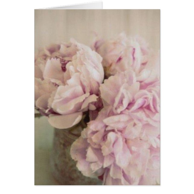 Peonies (Front)